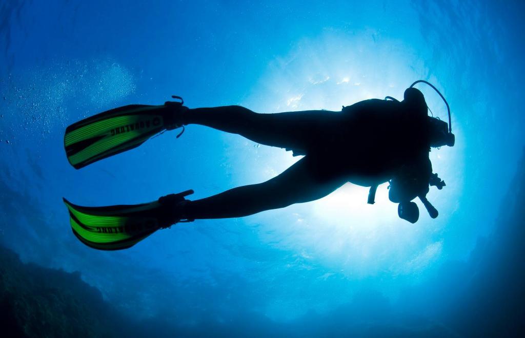 scuba, scuba diver, scuba diving, how to become a scuba diver, diving, scuba diving certification, scuba certification, scuba costs, cost to get scuba certified, scuba diving certification costs, how to, becoming a scuba diver, become a scuba diver today
